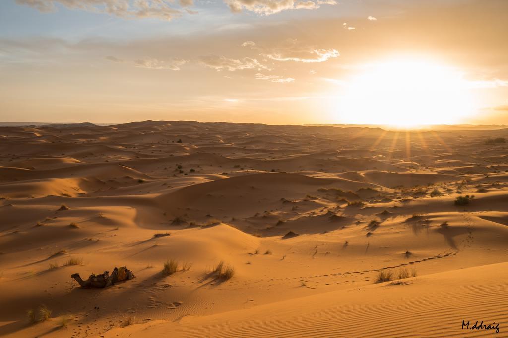 Desert Luxury Camp Morocco Мерзуга Экстерьер фото